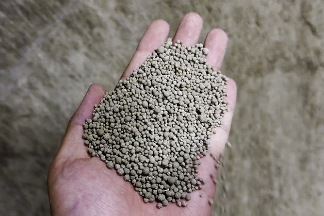 Is Bentonite Cat Litter Harmful to Cats and Humans? A Comprehensive Guide